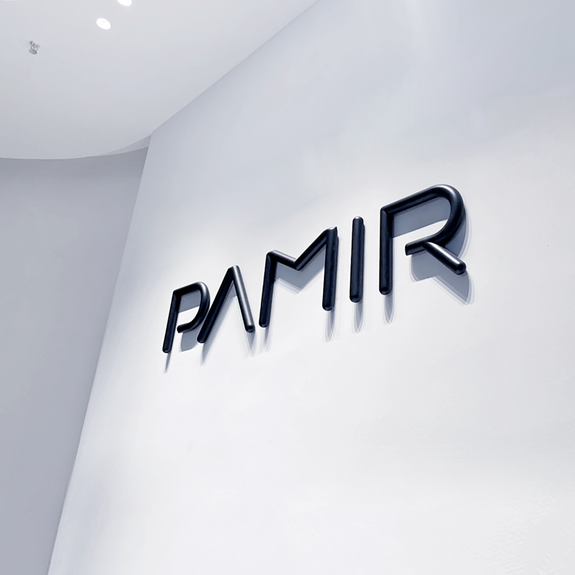 PAMIR